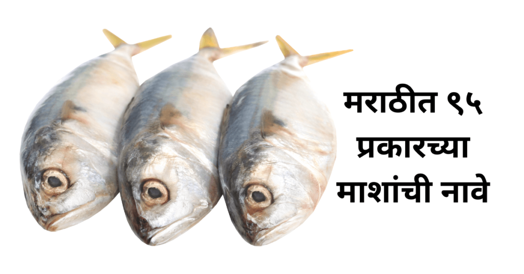 Fish Names In Marathi