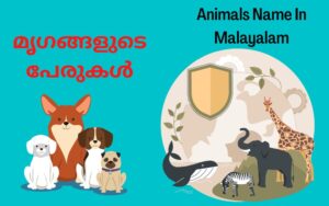 animals name in malayalam