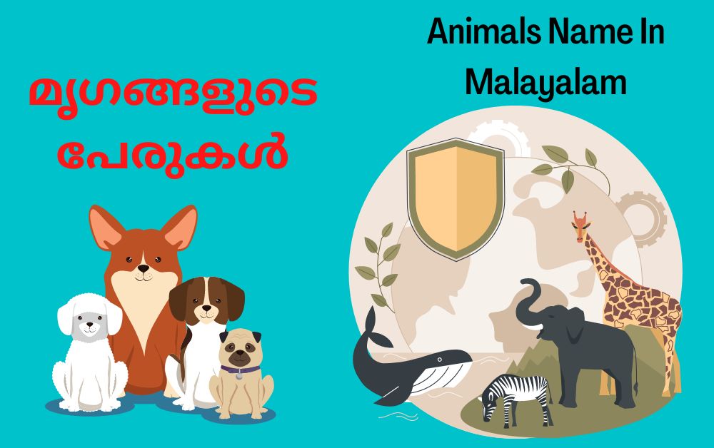 മൃഗങ്ങളുടെ പേരുകൾ | Animals Name In Malayalam