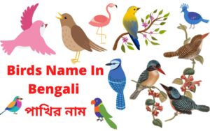 birds name in bengali and english