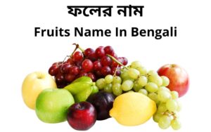 fruits name in bengali