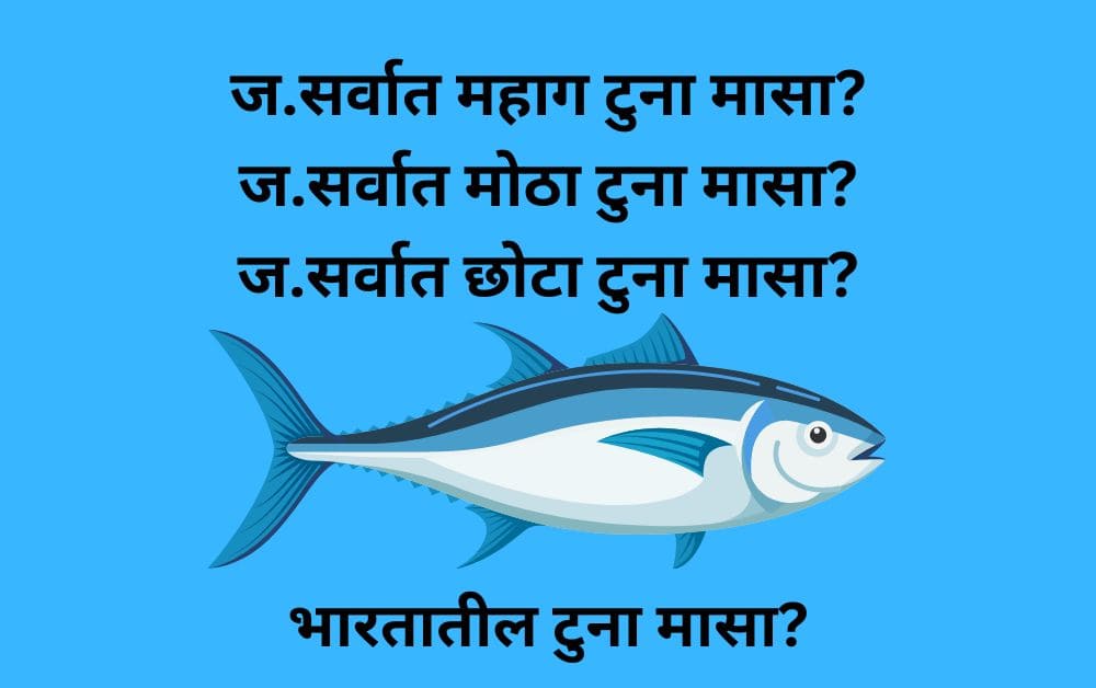tuna fish in marathi