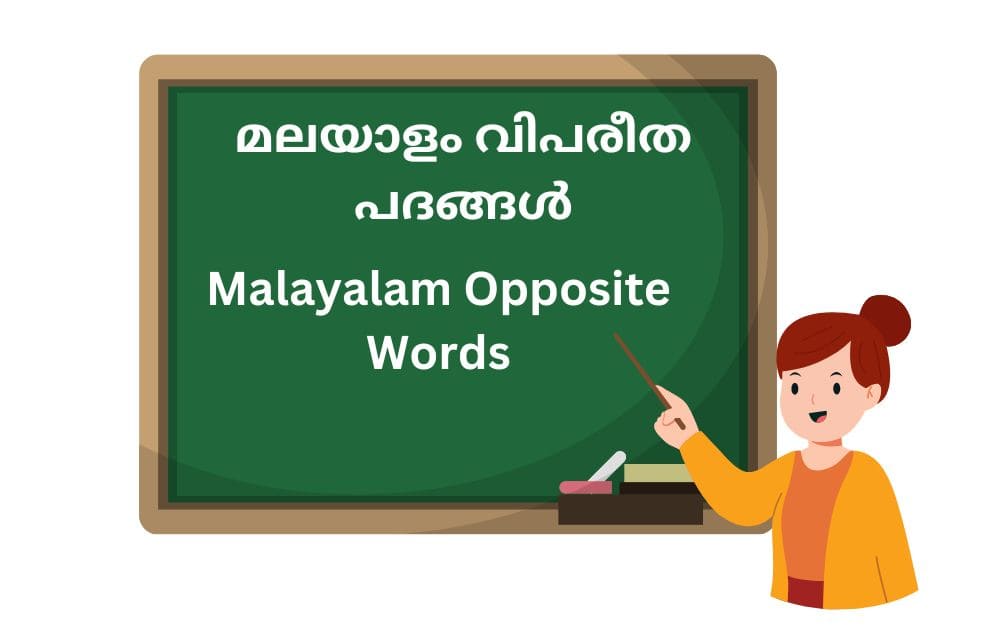 malayalam opposite words