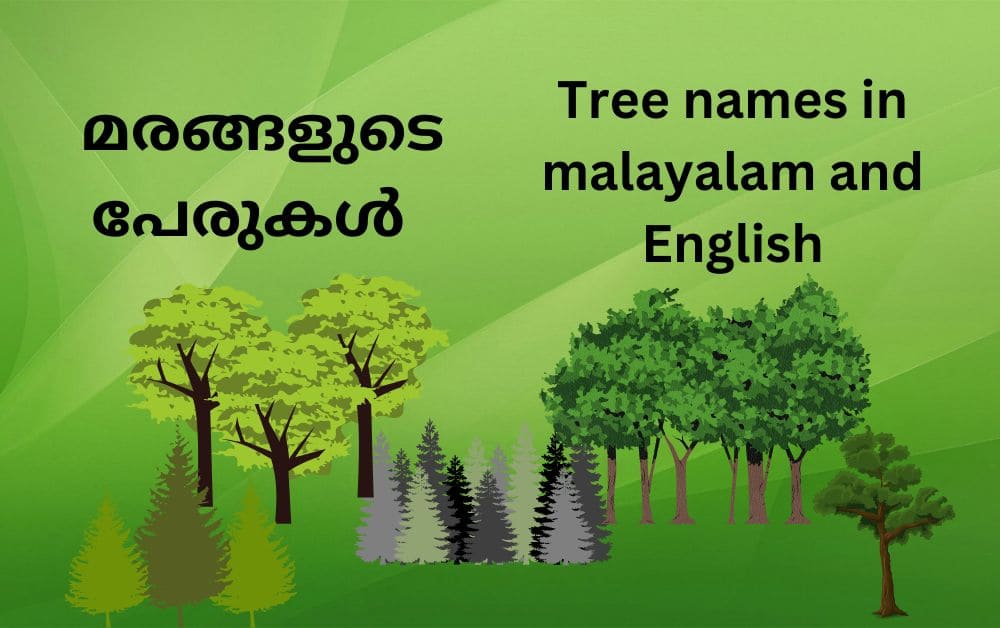 names of trees in malayalam